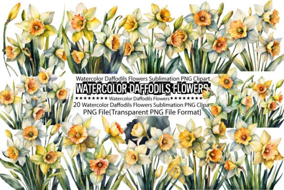 Download Watercolor Daffodils Flowers Sublimation - Premium Resources