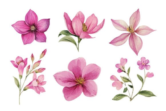 Download Pink Watercolor Flower Clipart Set - Clip Collection