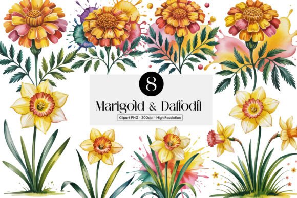 Download Marigold &amp; Daffodil Cliparts Pngs - Clip Collection