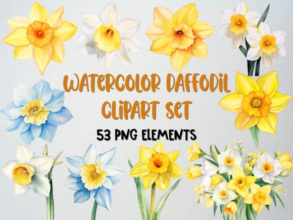 Download Watercolor Daffodil Clipart, Floral PNG - Clip Collection