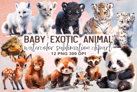 Download Watercolor Baby Exotic Animals Clipart - Clip Collection