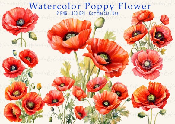 Download Red Poppy Watercolor Clipart PNG Bundle - Clip Collection