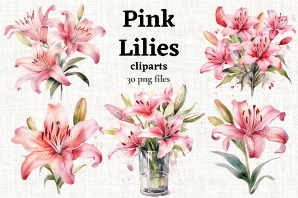 Download Pink Tiger Lily Clipart, Pink Lilies PNG - Clip Collection