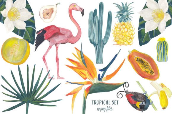 Download Tropical Hand Painted Clipart Gouache - Clip Collection