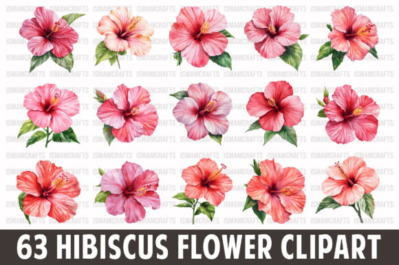 Download Hibiscus Flower Watercolor Clipart PNG - Clip Collection