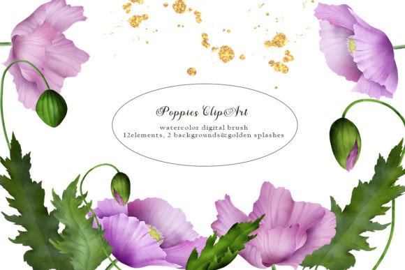 Download Poppy Watercolor Clipart, PNG - Clip Collection