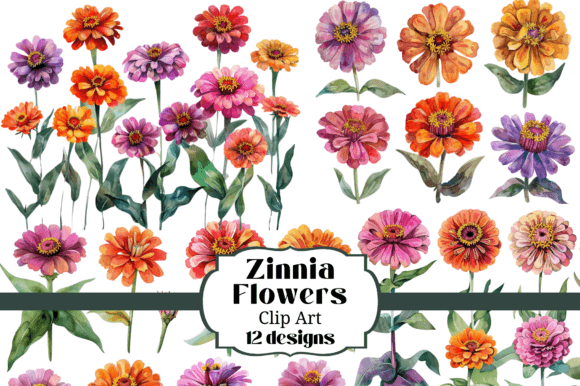 Download Watercolor Zinnia Flower Clip Art - Clip Collection