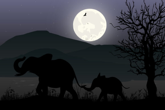 Download Cute Elephant and Moon Silhouette - Cute elephant Collection