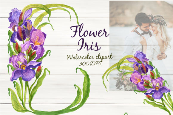 Download Watercolor Flower Iris Spring Clipart - Clip Collection