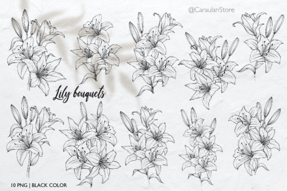 Download Lilies Line Art, Lily Bouquets PNG - Bouquet Collection