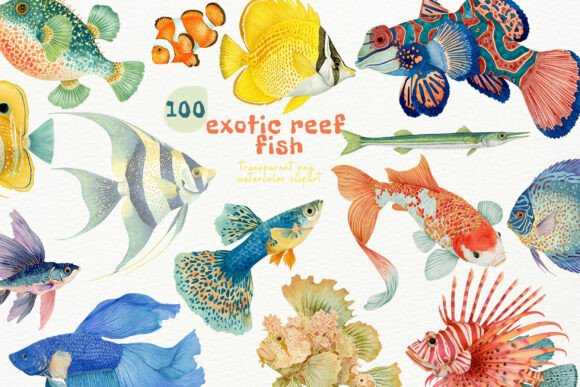 Download Watercolor Exotic Fish PNG Clipart - Clip Collection