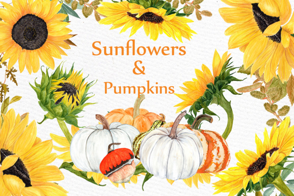 Download Watercolor Sunflower Clipart Pumpkin Clipart Sunflower Wedding Yellow Flower Clipart Harvest Clipart Thanksgiving - Clip Collection