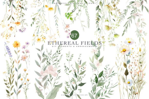 Download Watercolor Delicate Wildflower Clipart - Clip Collection