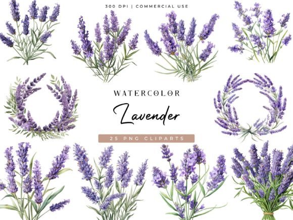 Download Watercolor Lavender Clipart Bundle - Clip Collection