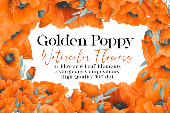 Download Golden Poppy Watercolor Floral Clipart - Clip Collection