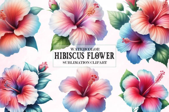 Download Watercolor Hibiscus Flower Clipart - Clip Collection