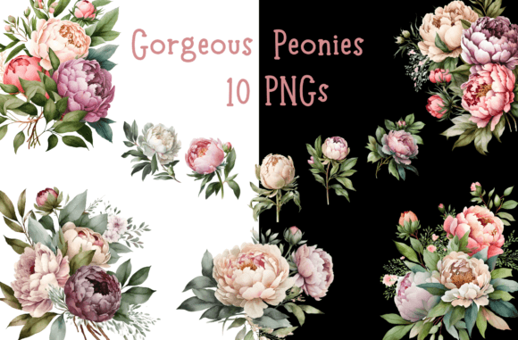 Download Watercolor Peony Floral Bundle - Floral bundle Collection