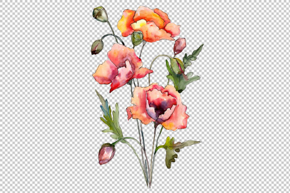 Download Bouquet of Red Poppies Watercolor Set - Bouquet Collection