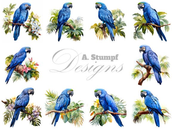 Download Hyacinth Macaw Parrot Watercolor Clipart - Clip Collection