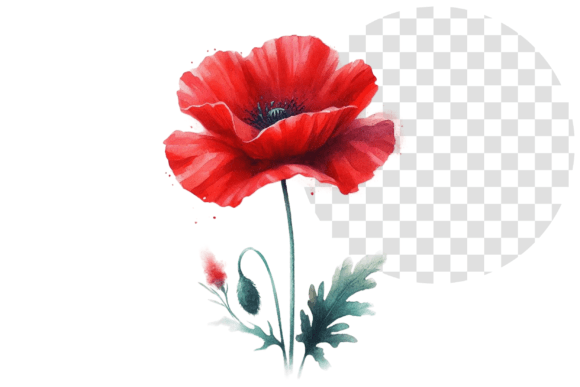 Download Poppify Watercolor Red Poppy Clipart - Clip Collection
