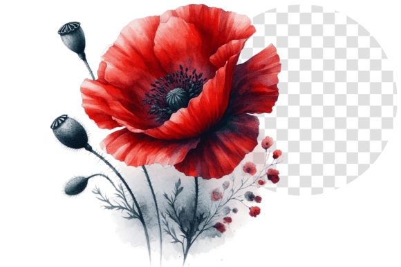 Download Poppify Watercolor Red Poppy Clipart - Clip Collection