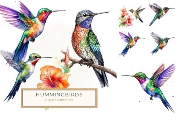 Download Vibrant Watercolor Hummingbird Clipart - Clip Collection