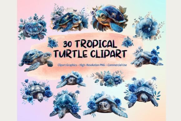 Download 30 Tropical Turtle Clipart - Clip Collection