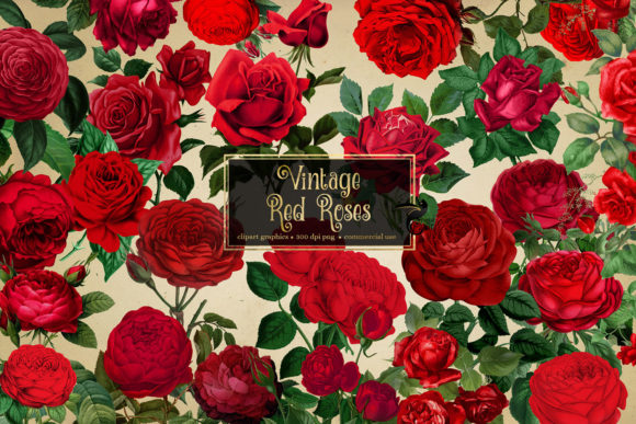 Download Vintage Red Roses Clipart - Clip Collection