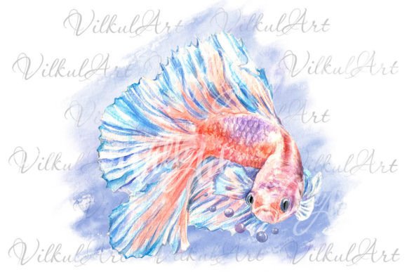 Download Cute Animal Png Watercolor Clipart Fish - Clip Collection
