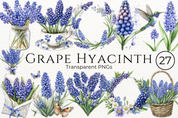 Download Grape Hyacinth Watercolor Cliparts - Clip Collection