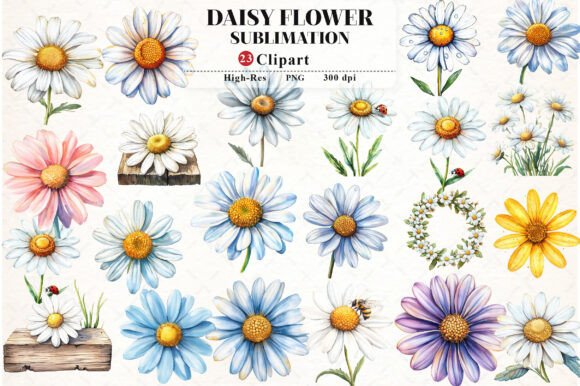 Download Daisy Flower Watercolor Cliparts - Clip Collection