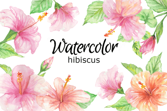 Download Hibiscus Flower Watercolor Clipart - Clip Collection