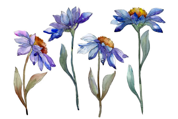 Download Bouquet Blue of Asters and Daisies Watercolor PNG - Bouquet Collection