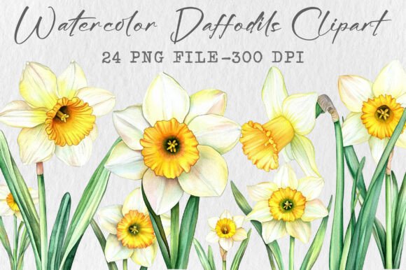 Download Watercolor Daffodils Clipart - Clip Collection
