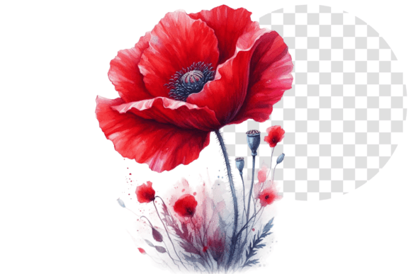 Download Poppify Watercolor Red Poppy Clipart - Clip Collection