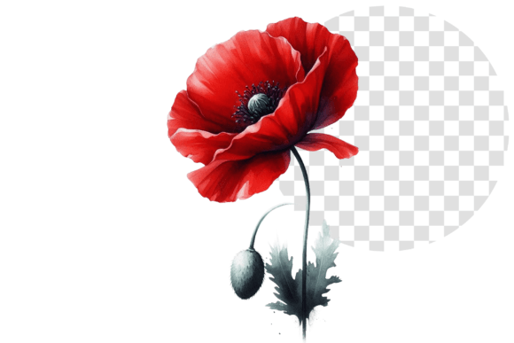 Download Poppify Watercolor Red Poppy Clipart - Clip Collection