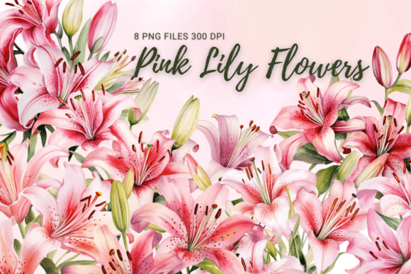 Download Pink Lily Flowers Watercolor Clipart - Clip Collection