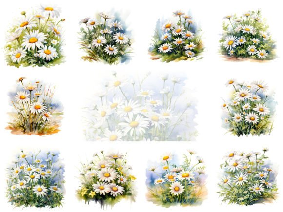 Download Daisies Watercolor Clipart Images Set - Clip Collection