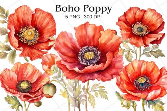 Download Boho Poppy Watercolor Clipart - Clip Collection