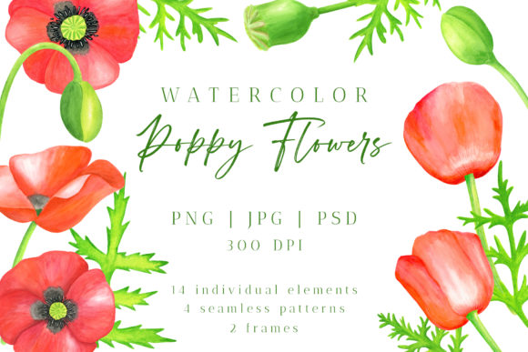 Download Red Poppy Flower Watercolor PNG Cliparts - Clip Collection