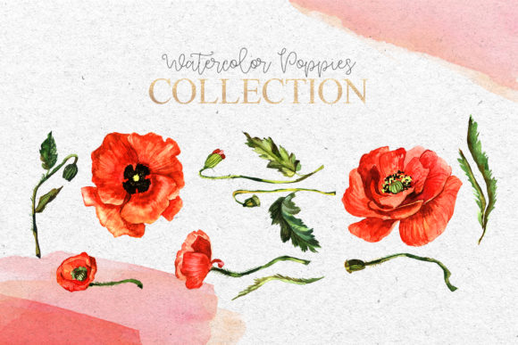 Download Red Poppies Flowers Clipart Watercolor - Clip Collection
