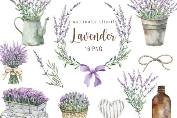 Download Watercolor Lavender Clipart - Clip Collection