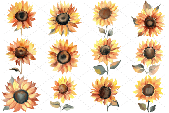 Download 12 Watercolor Sunflower Floral Bundle - Floral bundle Collection